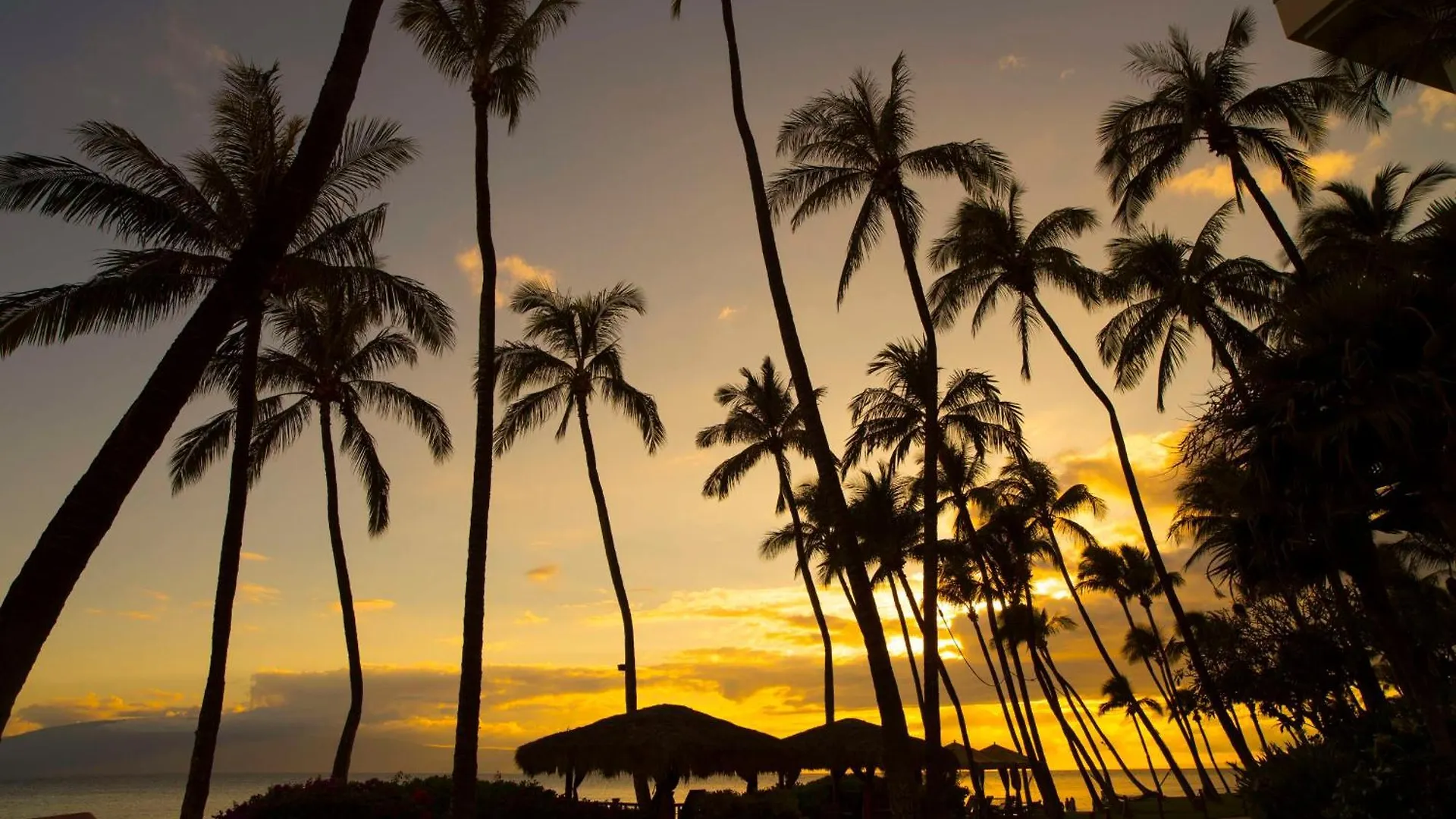 Hyatt Vacation Club At Ka'Anapali Beach Lahaina Rezort